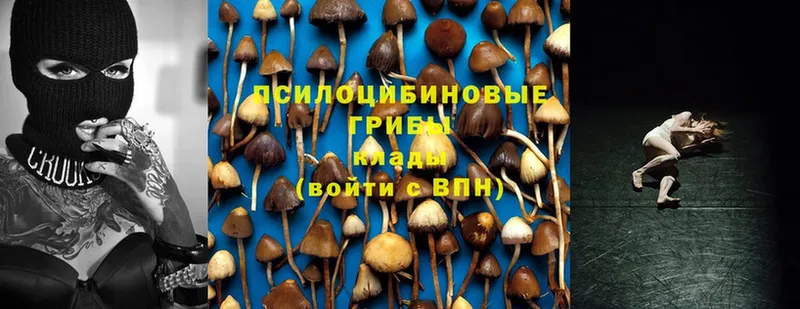 Псилоцибиновые грибы MAGIC MUSHROOMS  Чкаловск 